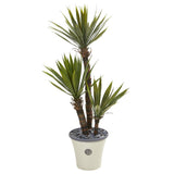 53” Yucca Artificial Tree in Decorative Planter
