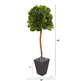 5.5’ Fiddle Leaf Artificial Tree in Slate Planter (Real Touch)