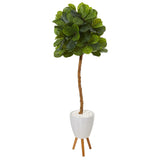 5.5’ Fiddle Leaf Artificial Tree in White Planter with Stand (Real Touch)