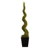 55” Muehlenbeckia Spiral Artificial Tree in Black Metal Planter