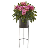 55” Phalaenopsis Orchid, Holly Fern Plant in Black Planter