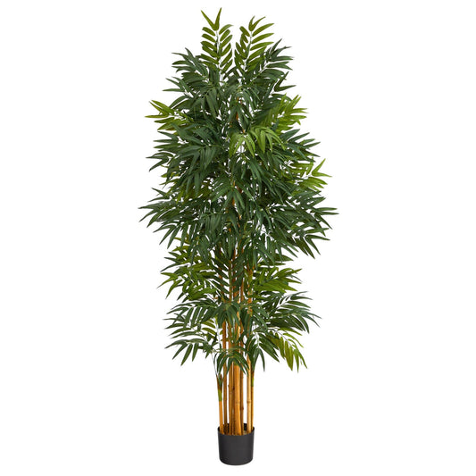 5.5’ Phoenix Artificial Palm tree with Natural Trunk