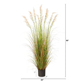 5.5’ Plum Grass Artificial Plant with Multicolored Grass