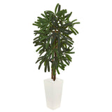 5.5’ Raphis Palm Artificial Tree in White Tower Planter