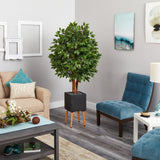 5.5’ Super Deluxe Artificial Ficus Tree in Black Planter with Stand