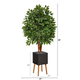 5.5’ Super Deluxe Artificial Ficus Tree in Black Planter with Stand