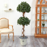 5.5’ Sweet Bay Double Ball Topiary Artificial Tree in Decorative Planter