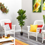 56” Dracaena Artificial Plant (Real Touch)