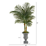 57” Golden Cane Artificial Palm Tree in Decorative Urn