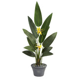 58” Bird of Paradise Artificial Plant in Gray Planter (Real Touch)