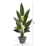 58” Bird of Paradise Artificial Plant in Gray Planter (Real Touch)