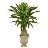 59” Dracaena Artificial Plant in Decorative Urn