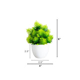6” Artificial Cactus Plant in White Round Pot - Set of 3