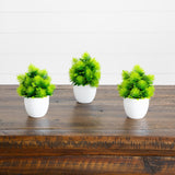 6” Artificial Cactus Plant in White Round Pot - Set of 3
