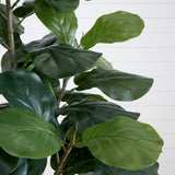 6’ Artificial Fiddle Leaf Tree