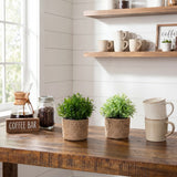 6” Artificial Grass Plant in Black Pot - Set of 2