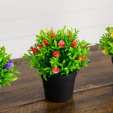 6" Artificial Mini Flowering Plant in Black Pot -Set of 3