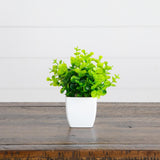6” Artificial Mixed Botanical Plant in White Square Pot - Set of 4