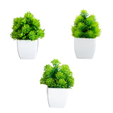 6” Artificial Mixed Succulent in White Square Pot - Set of 3