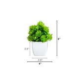 6” Artificial Mixed Succulent in White Square Pot - Set of 3