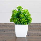 6” Artificial Mixed Succulent in White Square Pot - Set of 3