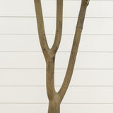 6’ Artificial Olive Tree in White Decorative Planter