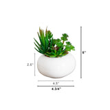 6" Artificial Succulent Garden in Ceramic White Planter - Set of 3