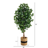6’ Ficus Artificial Tree with Natural Trunk in Handmade Natural Cotton Planter