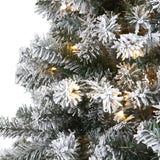 6' Flocked Rock Springs Spruce Artificial Christmas Tree with 250 Clear LED Lights