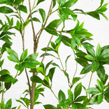 6' Artificial Minimalist Japanese Pieris Tree