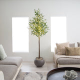 6’ Lighted Artificial Olive Tree with 300 Warm White LED Lights
