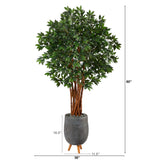 6’ Lychee Artificial Tree in Gray Planter with Stand