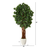 6’ Lychee Artificial Tree in White Planter