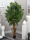 6' Palace Style Ficus Silk Tree