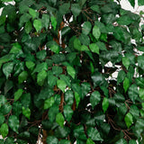 6' Palace Style Ficus Silk Tree