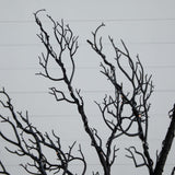 6’ Pre-Lit Halloween Minimalist Twig Artificial Fall Tree with 320 Orange & Purple LED Lights