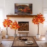 6' Pre-Lit Shades of Autumn Maple Artificial Fall Tree with 360 Warm White LED Lights