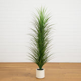 6’ UV Resistant Artificial Grass Plant in White Decorative Planter (Indoor/Outdoor)