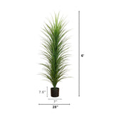 6’ UV Resistant Artificial Grass Plant (Indoor/Outdoor)