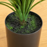 6’ UV Resistant Artificial Grass Plant (Indoor/Outdoor)