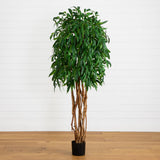6' Weeping Ficus Silk Tree