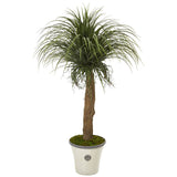 61” Pony Tail Palm Artificial Plant in Decorative Planter