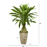 62” Dracaena Artificial Plant in Country White Planter