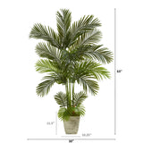 63” Areca Palm Artificial Tree in Country White Planter