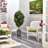 63” Schefflera Artificial Tree in Vintage Metal Planter (Real Touch)