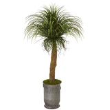 64” Pony Tail Palm Artificial Plant in Copper Trimmed Metal Planter