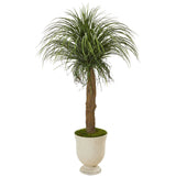64” Pony Tail Palm Artificial Plant in Decorative Urn