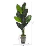 64” Traveler's Palm Artificial Tree in Vintage Metal Planter