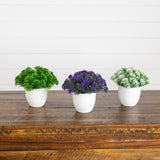 6.5” Artificial Mixed Grass Plant in White Planter - Set of 3