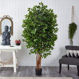 6.5’ Deluxe Ficus Tree